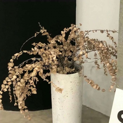 Furry插画元素灵感FurryQQ群